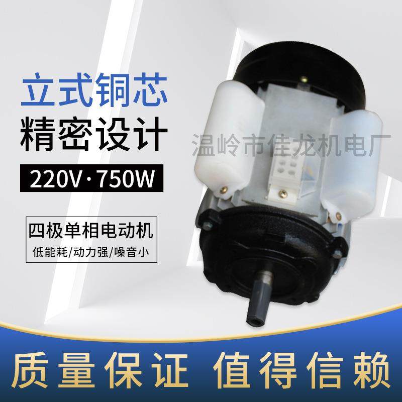 立式铜芯厂家直供220V750W四极单相电动机胶装机切纸机械设备,电子元器件市场,电机/马达,淘宝优惠券,粉丝福利购,淘宝优惠卷