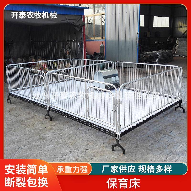母猪保育床养殖场养猪设备现货仔猪保育床加厚镀锌钢管母猪保育床