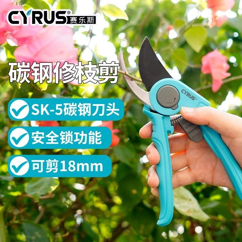 花剪植物园艺剪刀修枝剪家用树枝花草修剪工具园林花枝盆栽剪子,鲜花速递/花卉仿真/绿植园艺,剪刀,淘宝优惠券,粉丝福利购,淘宝优惠卷