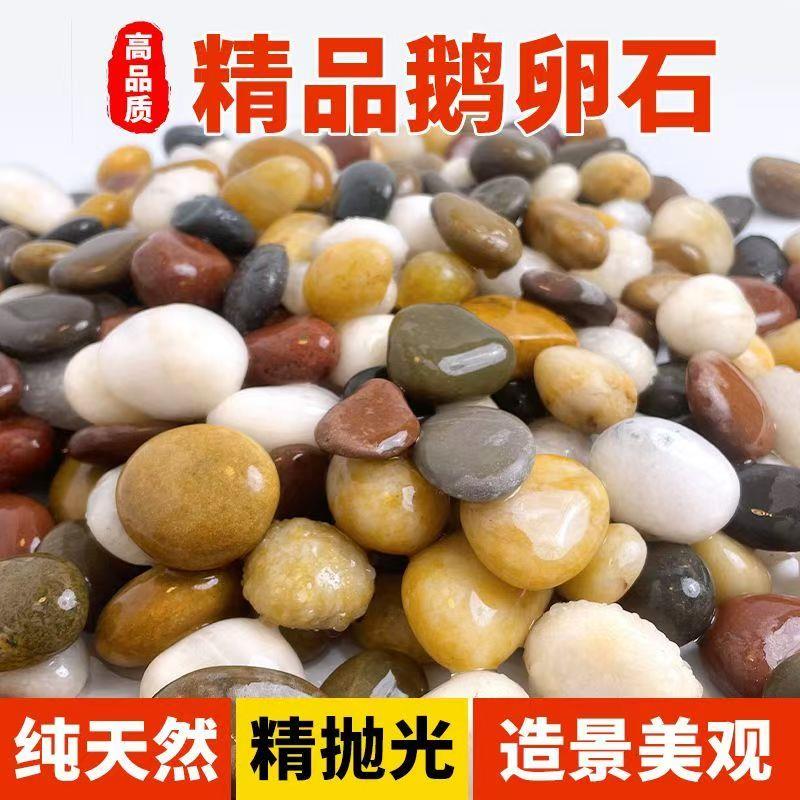 五彩色鹅卵石小石头铺路庭院铺阳台鱼缸天然原石雨花石造景