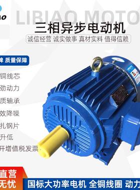 8级现货大功率电动机Y系列132/160/185/200/220W380V机械电机