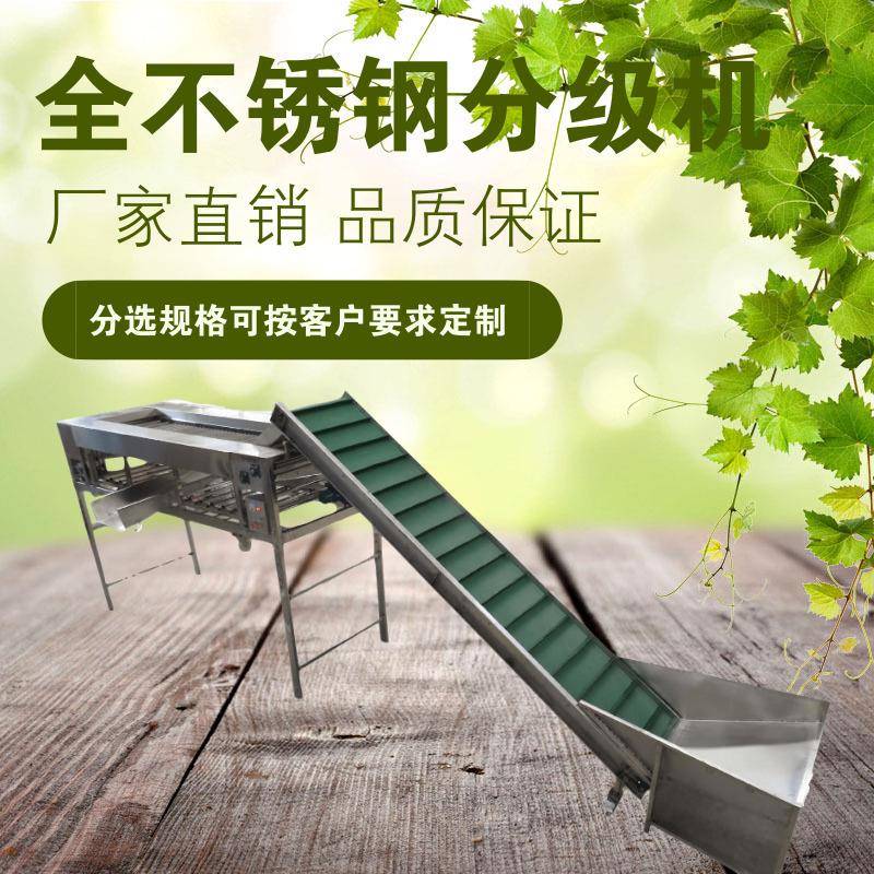 水果分级机土豆金桔樱桃芒果分选机果蔬选果机械