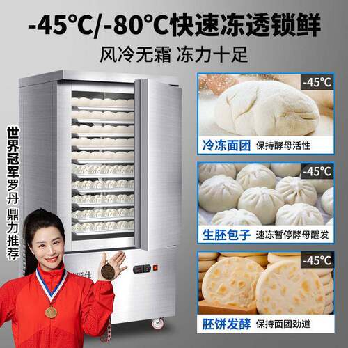 德菱仕速冻冷柜商用零下45度80度急冻插盘冰箱包子饺子海参速冻机