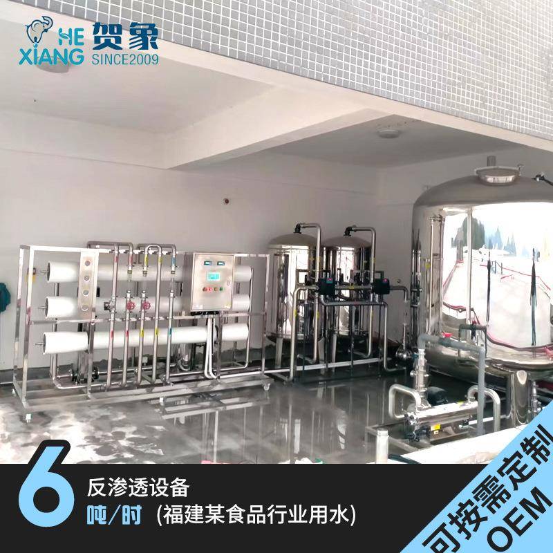 6吨每小时1级反渗透纯水处理设备大型食品化工去离子纯净水机厂家