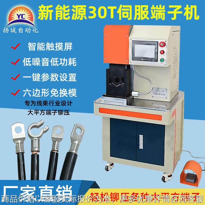 新款六边形伺服铆压端子机新能源线束电缆电线特有六角端子压接机,清洗/食品/商业设备,包子机,淘宝优惠券,粉丝福利购,淘宝优惠卷