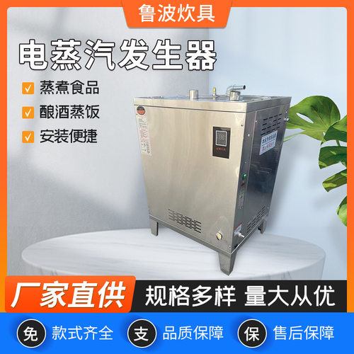定制蒸汽发生器方形30至60火排电加热馒头房酿酒用蒸汽发生器