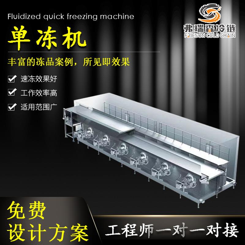 速冻炸土豆块单冻机火龙果芒果苹果桃梨水果丁风冷式速冻设备