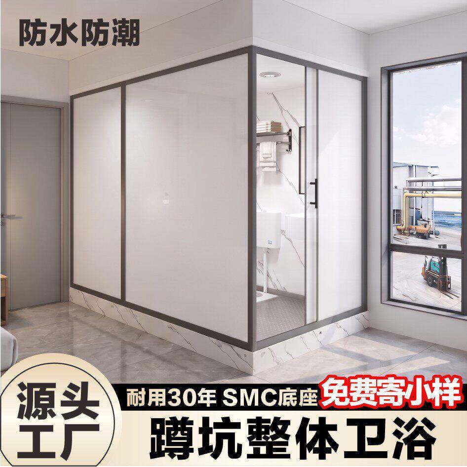 干湿分离蹲便集成整体卫生间家用钢化玻璃移门蹲坑款淋浴房洗澡房