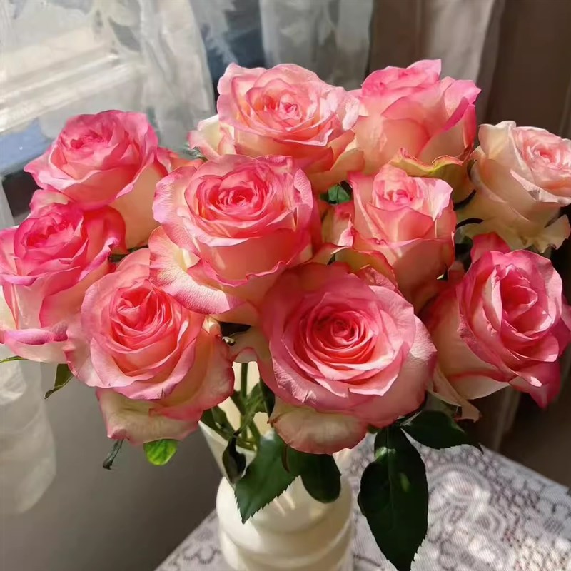 【小七专属】爆款玫瑰百合鲜花  家庭插花客厅水养鲜花