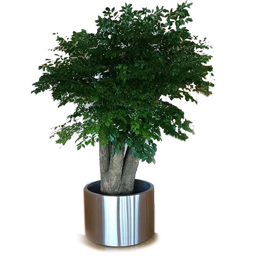 圆形钵 金属盆 宸嘉器 广场酒店筒写字楼桶