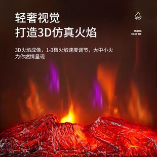 汉丽L取暖器速热暖风节能壁炉电暖气家用火焰电暖器加湿器