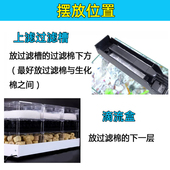 活性炭鱼缸鱼塘海鲜水产净水材珊瑚骨颗粒炭过池水处理活性碳