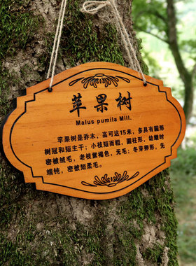 定制实木树牌挂牌树木认养牌园林绿化创意标识牌树名牌简介牌