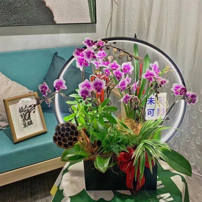 新中式蝴蝶兰花盆带灯客厅年宵花插花器花篮金属福桶冬青玄关摆件
