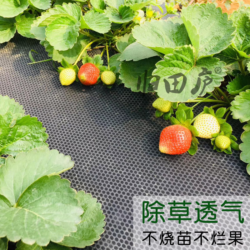 归田庐菜园防草布除草楼顶草莓地膜家庭花园种菜神器透气保湿庭院