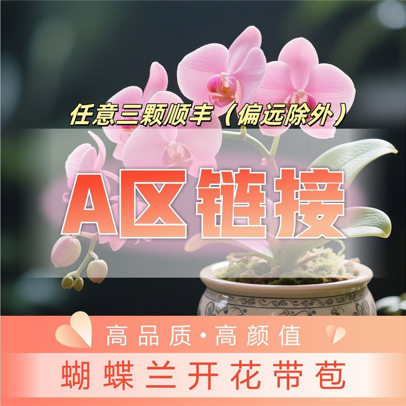 【区补贴炼接】任意颗顺丰(偏远除外)高端带花苞花苗兰花