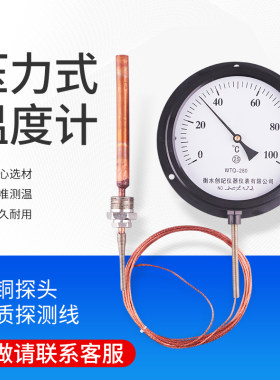 WTQ2压力式温度计测油水液体蒸汽锅炉食品温度工业表测温仪