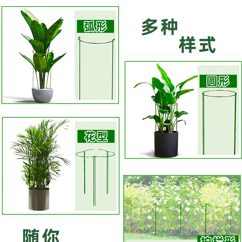 花架支撑杆防倒伏爬藤支架固定植物支撑架花架子龟背竹金钱树护花