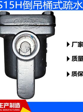 H倒吊桶式疏水铸钢蒸汽疏水DNDN2DNDN2