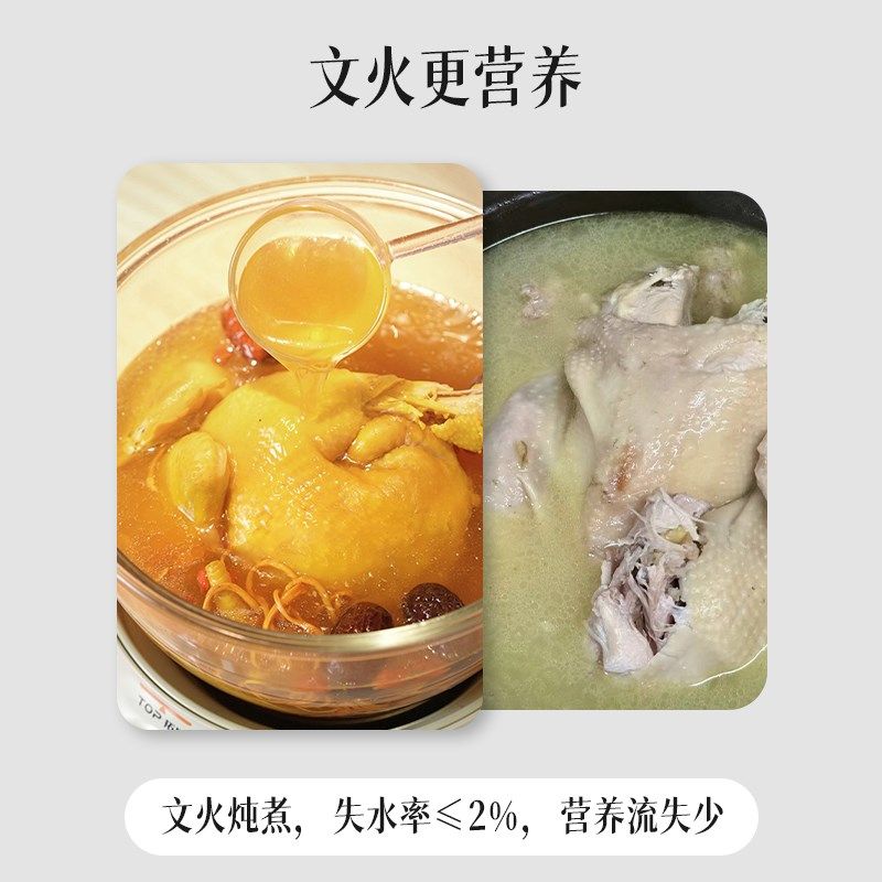 拓璞全玻璃炖煮锅胶塑恒温文火慢炖锅智能分体养生炖盅电炖锅