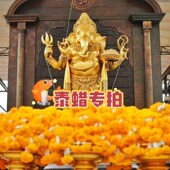 定金 泰谷 订制专拍 补差