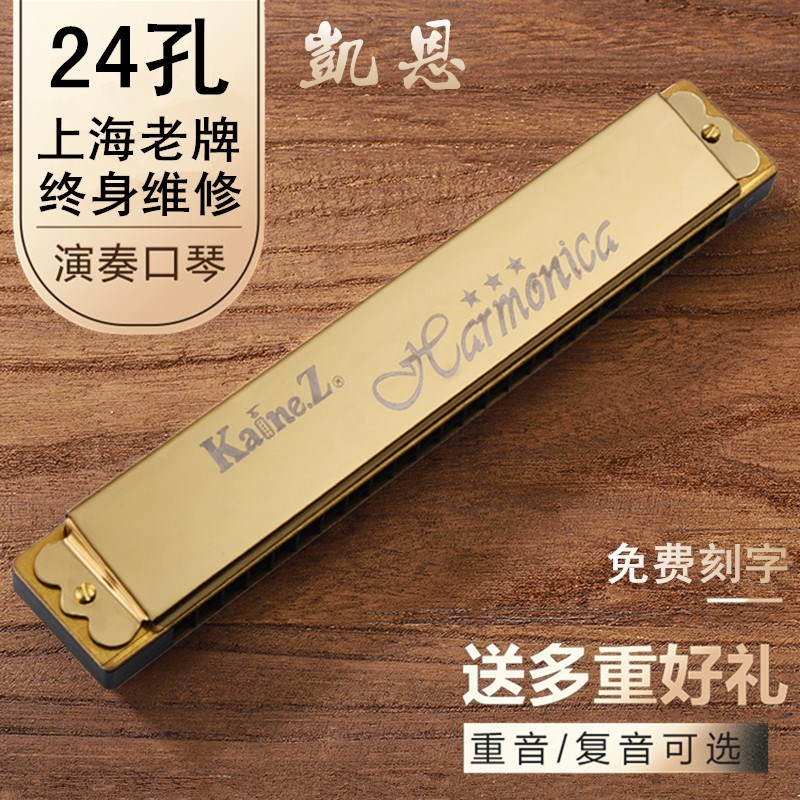 凯恩复音重音口琴初学者级演奏级调降调