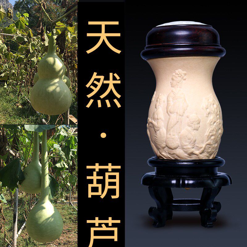 蝈蝈葫芦叫罐竹蛉鸣虫蛐蛐过冬罐子文玩范制葫芦鸡心模模精品