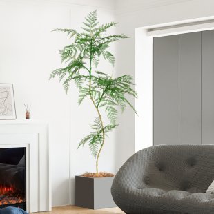 栖茉 侘寂风仿真绿植仿生蓝楹假室内客厅装饰