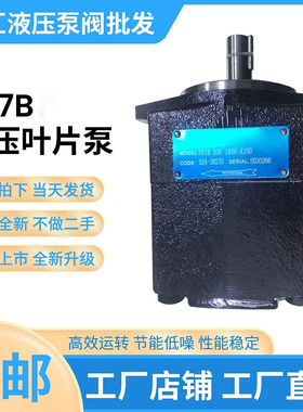 DENISON丹尼逊T67B B04 1R02 A1M0 VC00叶片泵T6C/T6E 017 3L00 B