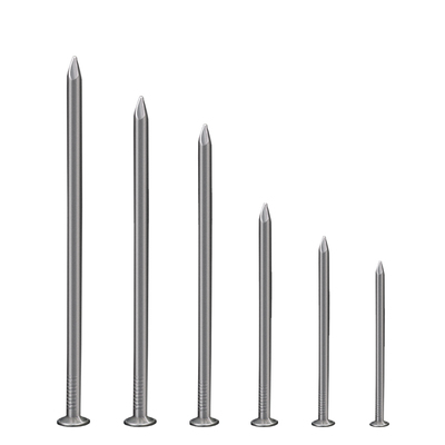 沪心整箱钉子铁钉木工钉家用圆钉小洋钉     寸圆钢钉铁钉