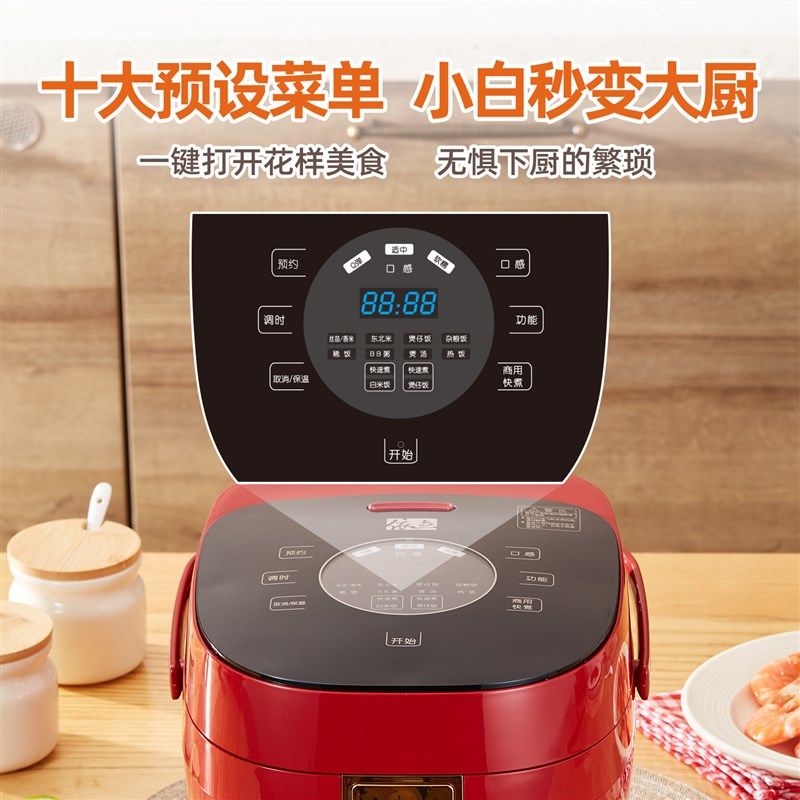 依立紫砂电饭煲L.升大容量煲仔饭锅电炖锅煲汤煲粥锅