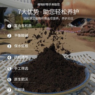 东北草碳土黑色泥土营养土果蔬种菜养育苗种植通用黑泥土免施肥