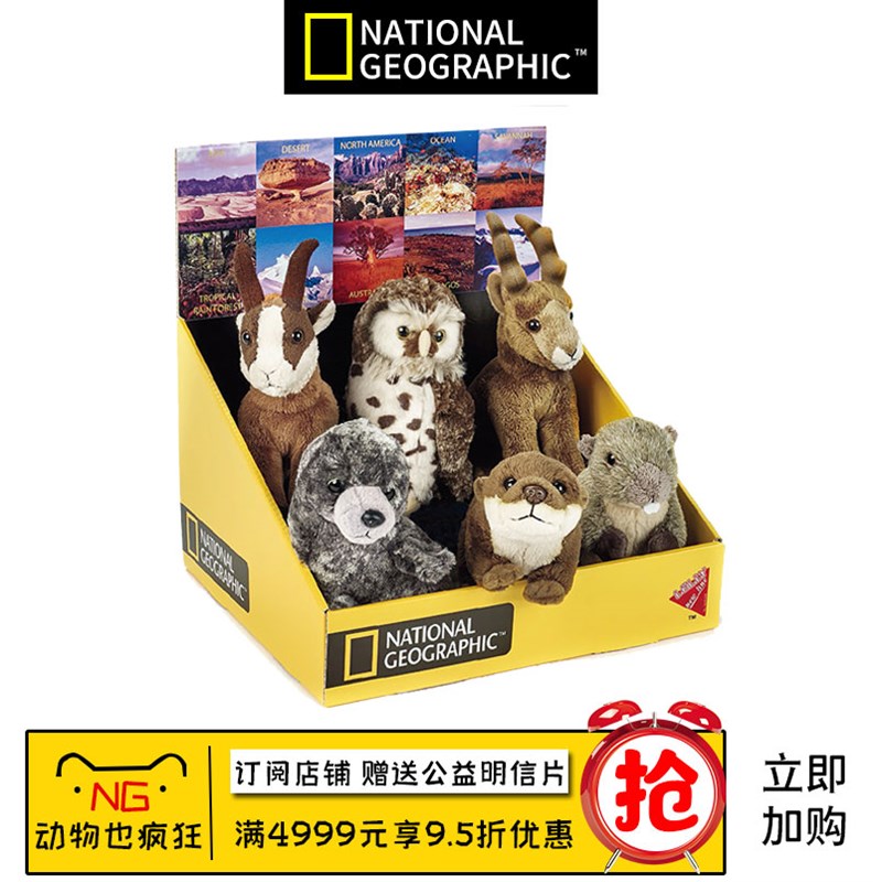 国家地理仿真动物猫头鹰土拨鼠羚羊山羊水獭海豹小号公仔玩偶