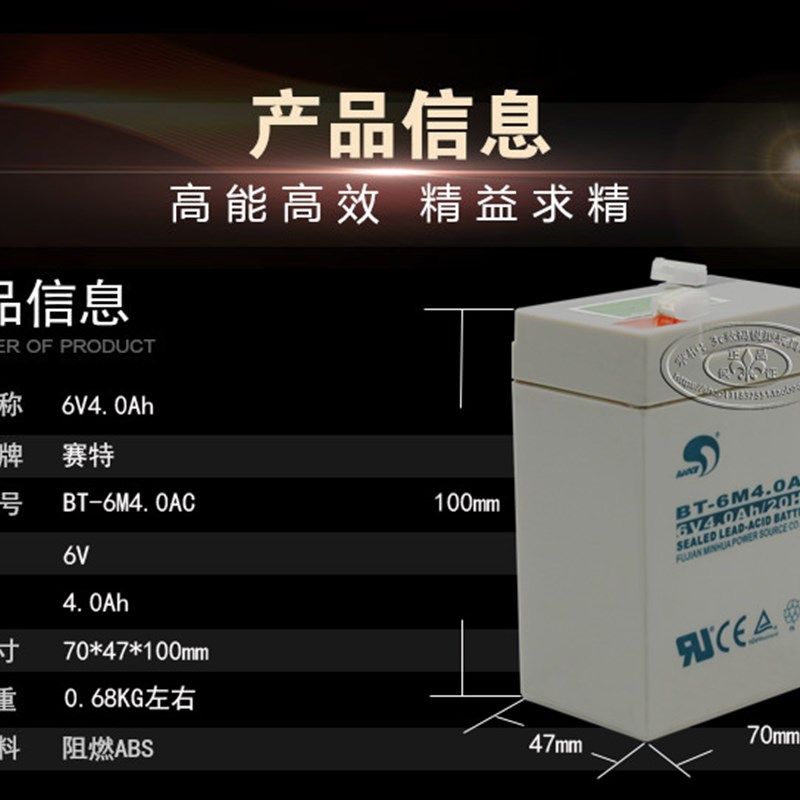 赛特蓄电池TM.H电子秤计价秤台车称免维护蓄电