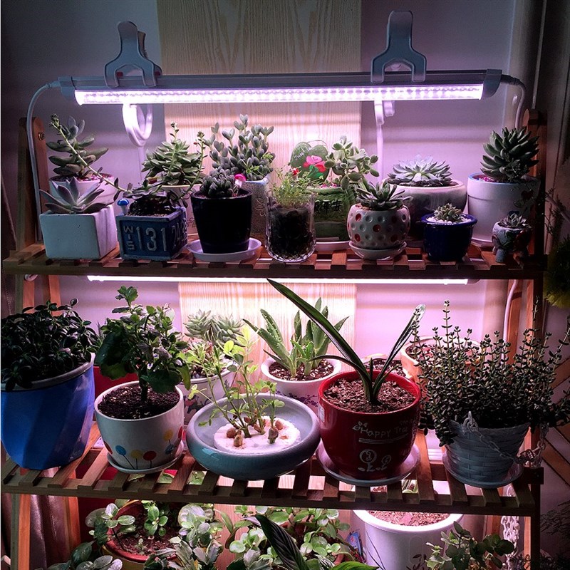 wega贵翔植物生长灯全光谱仿太阳多肉补光灯上色防徒家用led灯管
