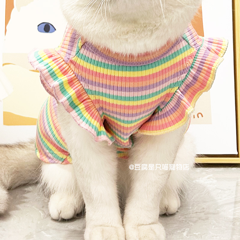 猫咪衣服春夏条纹薄款英短蓝猫布偶暹罗矮脚猫宠物衣服T恤防掉毛