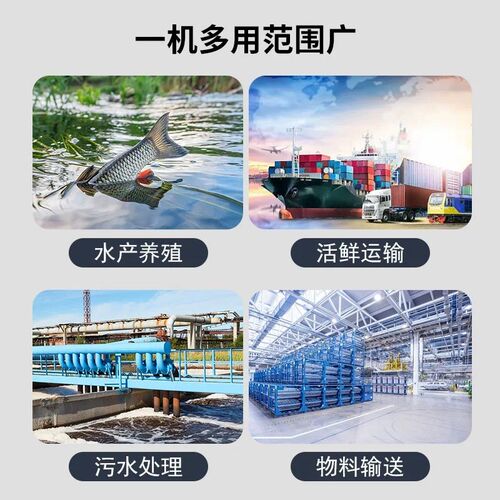 高压罗茨风机鱼塘新型增氧泵水产养殖冲氧鼓风机曝气运输污水处理