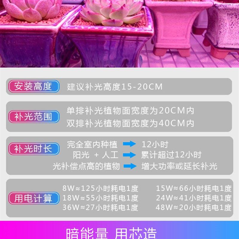 ld全光谱多肉补光灯家用上色快防徒长仿太阳光卉育苗生长,家装灯饰光源,植物生长灯,淘宝优惠券,粉丝福利购,淘宝优惠卷