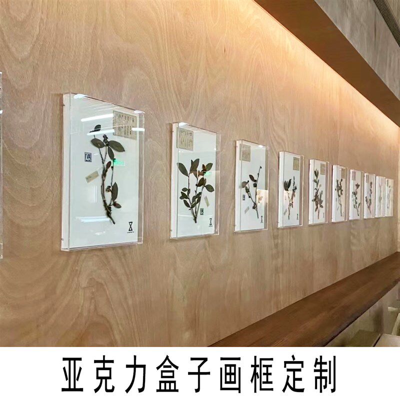 定制透明亚克力画框展示挂墙照片相框/画框