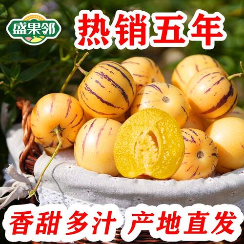 盛果邻  云南石林树上熟人参果黄肉圆果特大果人生果精选多汁水果