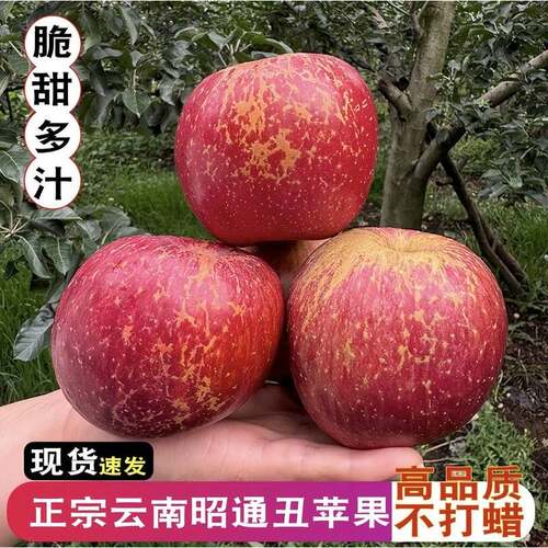 云南昭通丑苹果脆甜多汁高山水果好吃红富士产地直发整箱包邮5斤