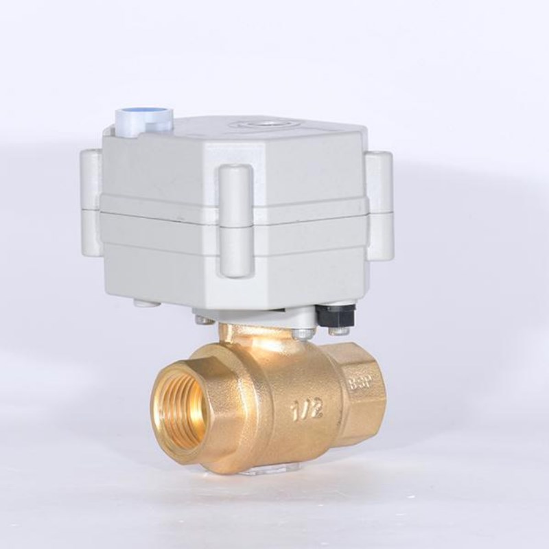 20-T15-B2-B 黄铜手电一体电动球 微型二通电动DN15 20 2V