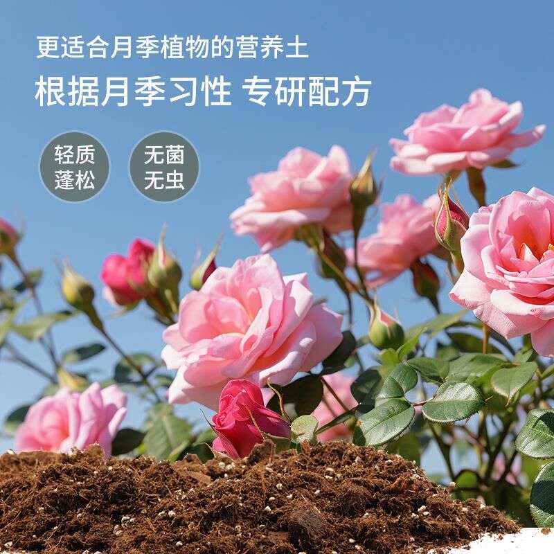 月季土专土营养土土用通用养卉粗泥炭种土壤泥