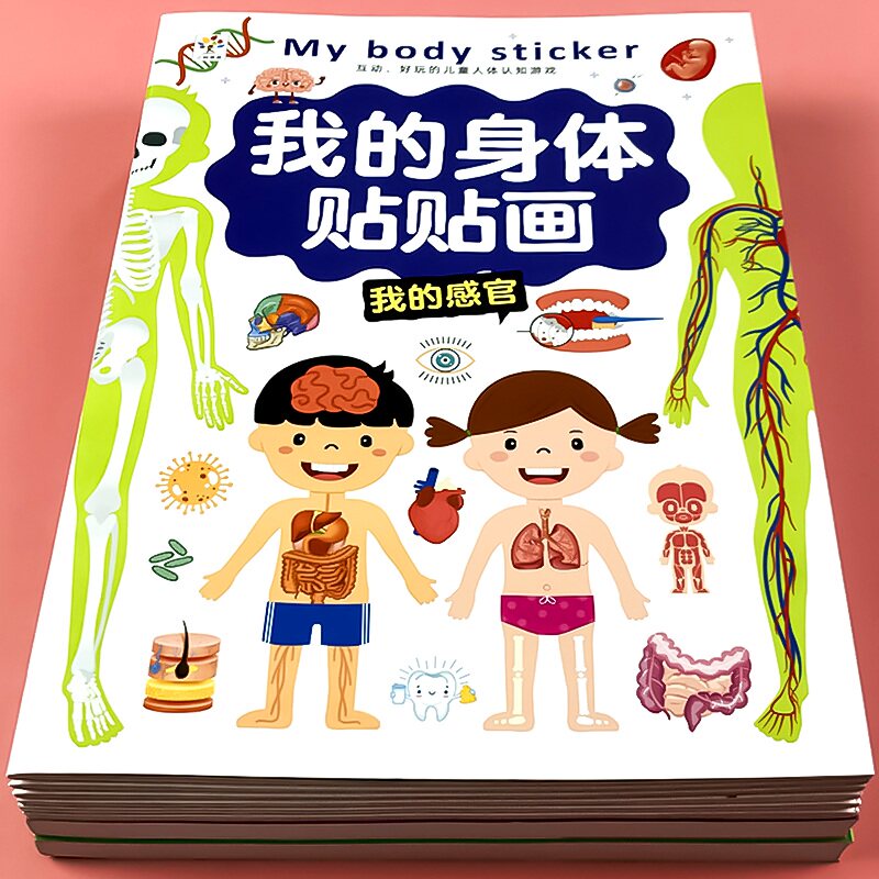 我的身体部位画专注力训练儿童纸书到岁幼儿宝宝智力发早教启蒙认