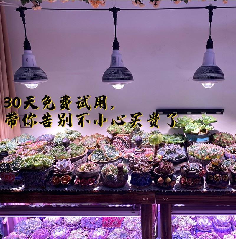 李林霖?多肉补光灯上色防徒全光谱仿太阳室内阳台透镜球泡灯