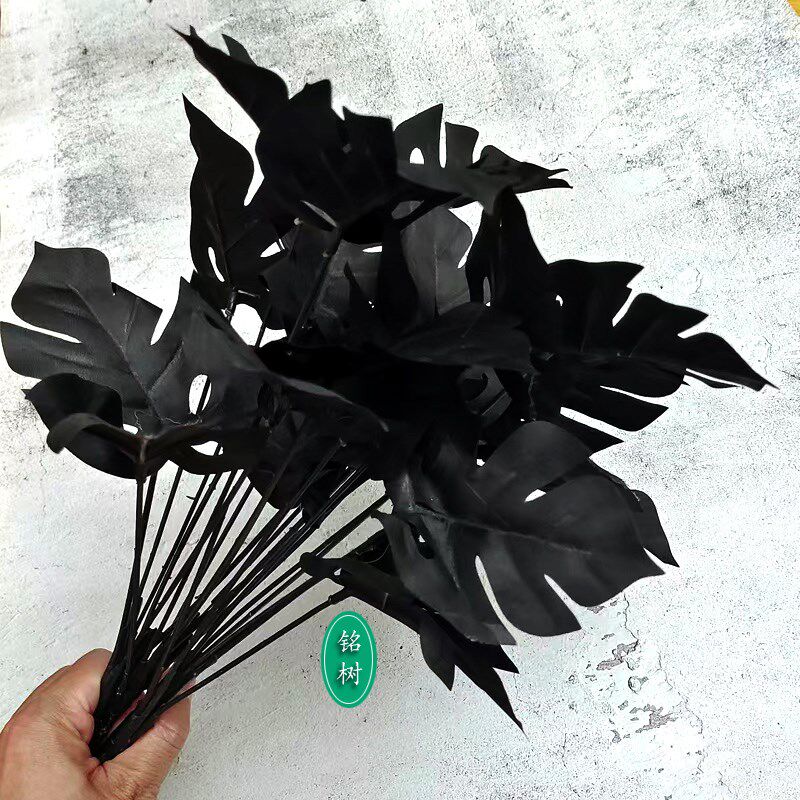 暗黑仿真龟背叶草树枝热带道具干塑料绢假黑色假草