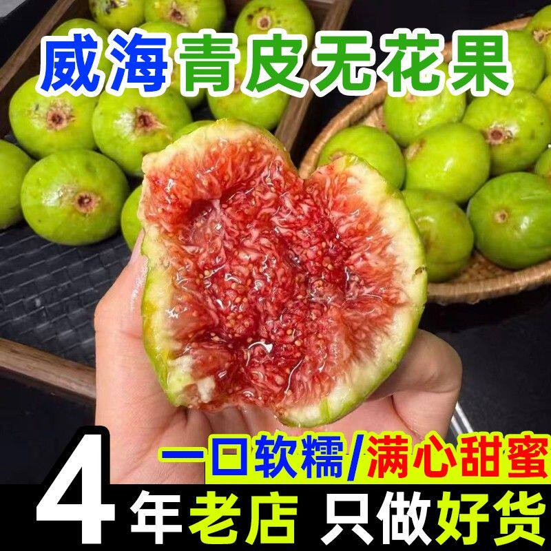 保鲜箱加冰发货山东威海荣成青皮新鲜秋果无花果鲜果现摘应季
