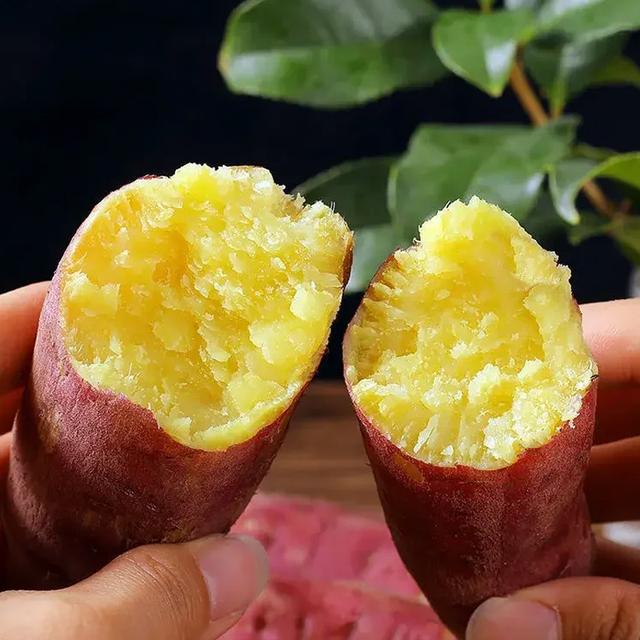 歌宝鲜生陕西临潼板栗红薯4.5斤 粉糯香甜 新鲜烤地瓜现挖现发