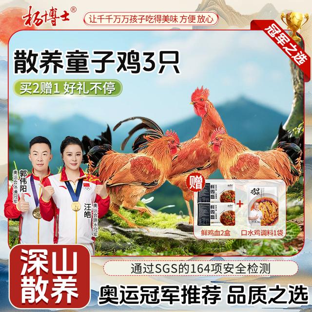 食安放心童子鸡杨博士皖南深山放养土鸡仔公鸡清蒸香嫩鲜营养