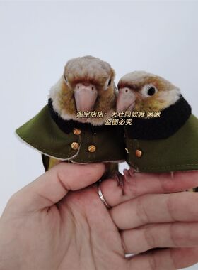 军大衣款鸟衣服鹦鹉披风玄凤加厚保暖外出服鹦鹉用品鸟用品